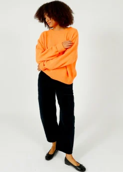 AV Vitow Knit in Carrot Fluro