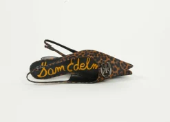 SE Aggie in Brown Leo