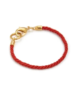 TS Friendship Bracelet in Crimson